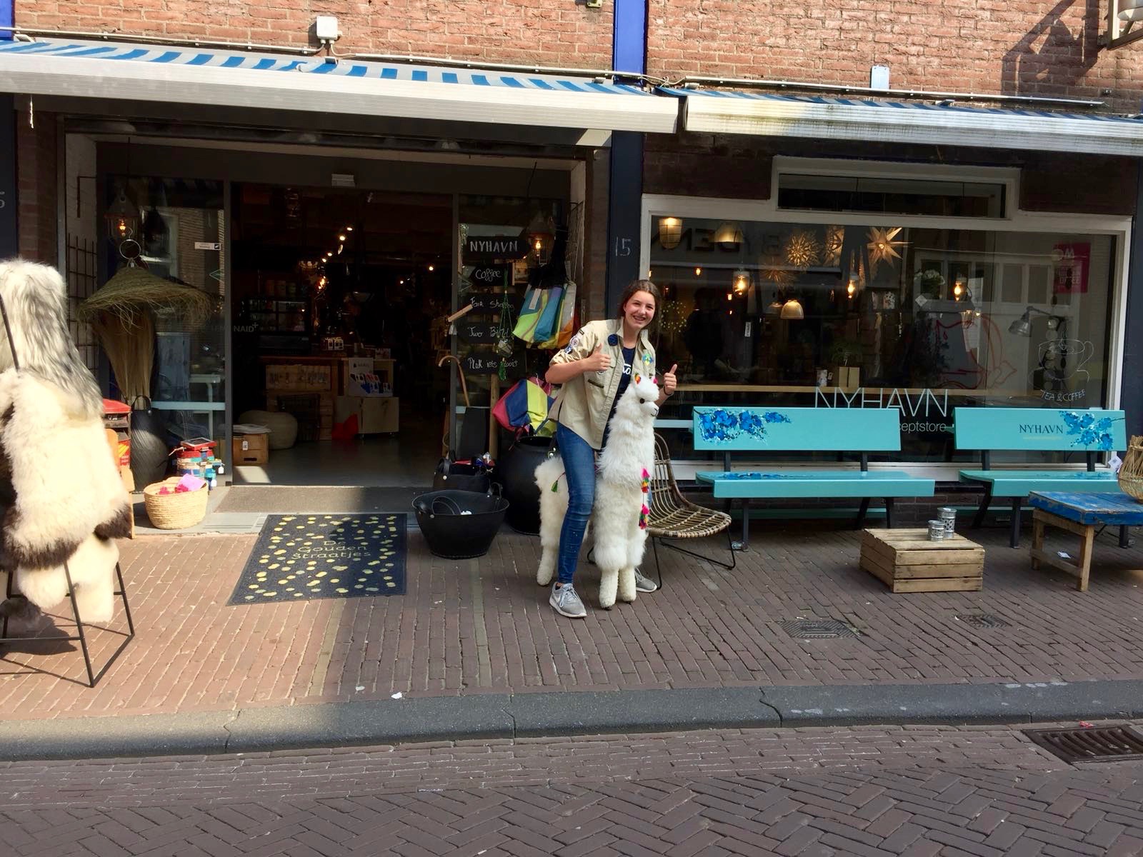 WhatsApp Image 2018-05-13 at 18.27.59