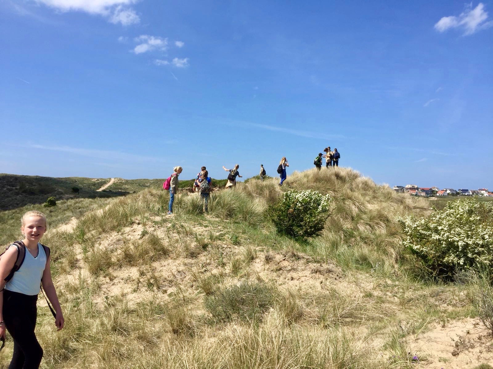 WhatsApp Image 2018-05-13 at 18.28.02