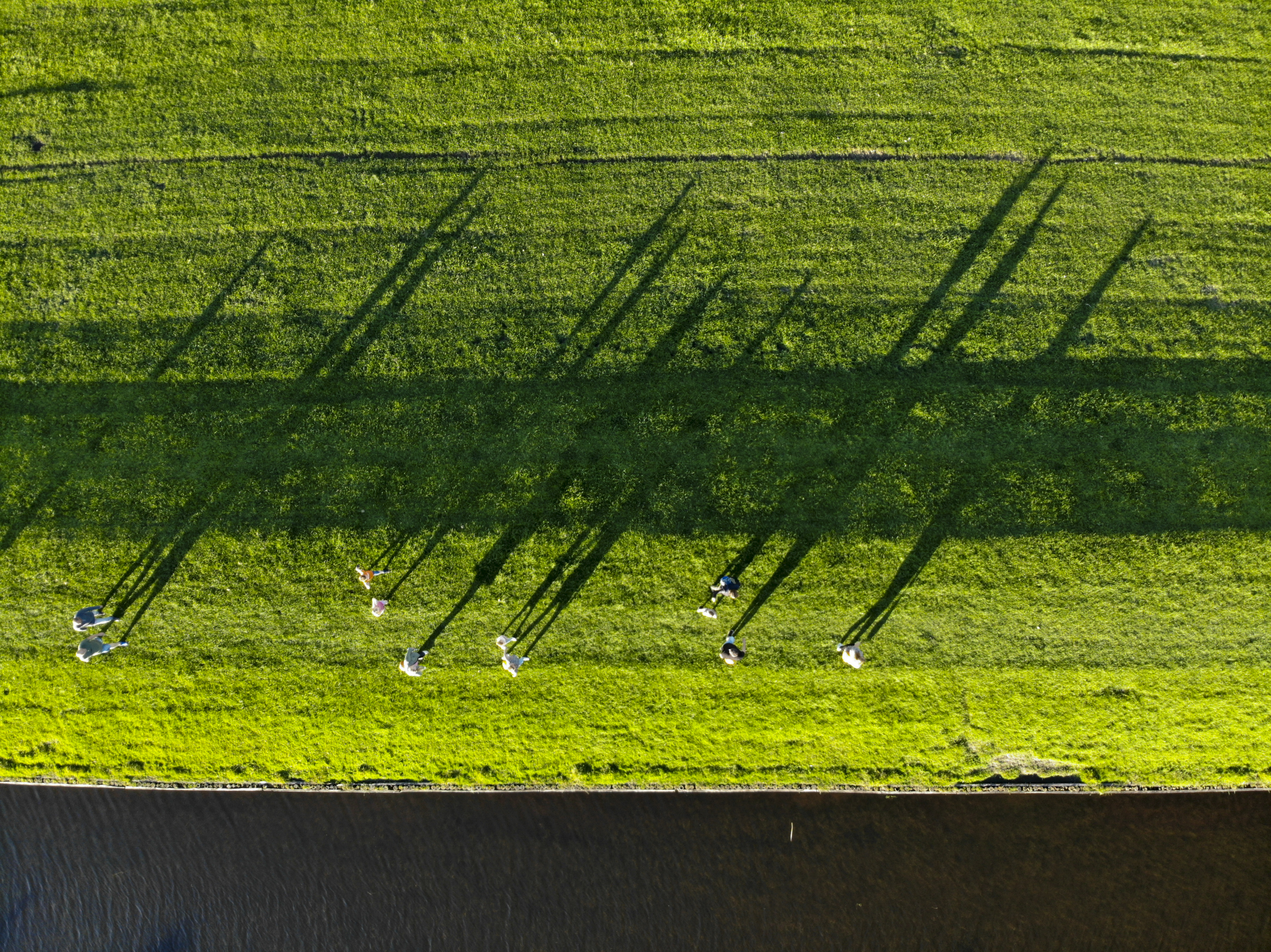 created by dji camera